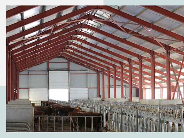 Строительство коровников в Мценске