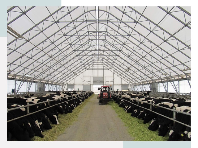 Тентовые коровники в Мценске от 608 руб. - Надежно и доступно